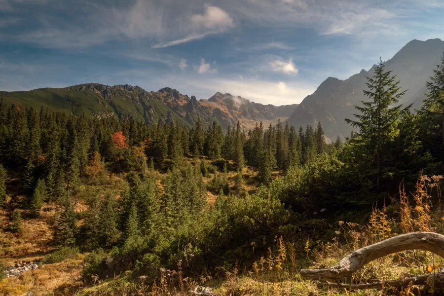 Zonácie oboch tatranských národných parkov sú bližšie k realite