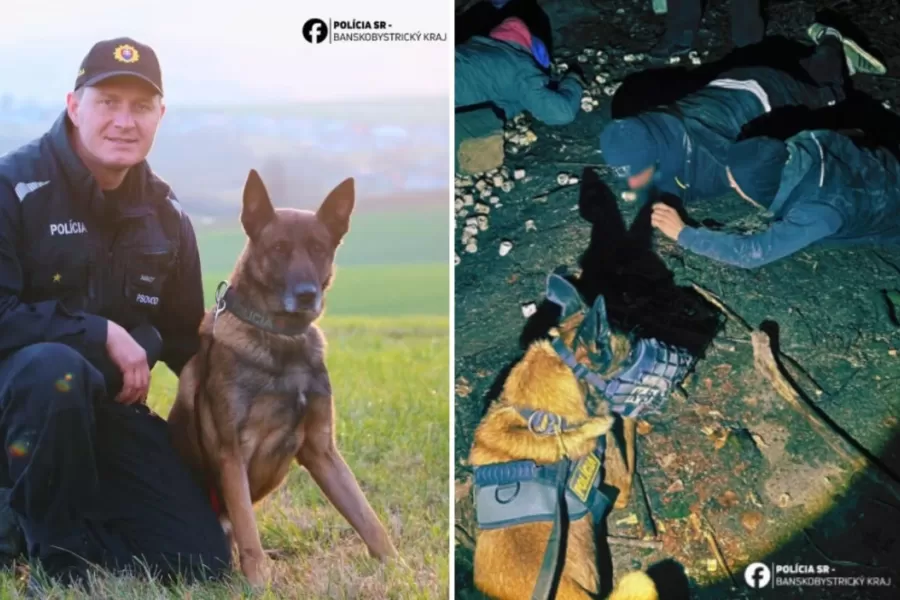 Štvornohý vyjednávač Max odchádza do dôchodku
