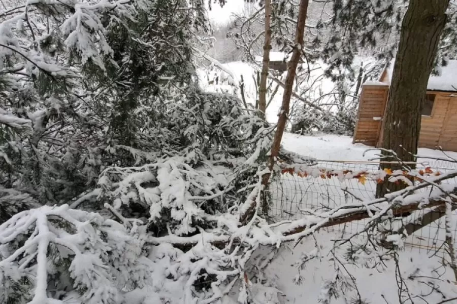 Snehová kalamita paralyzovala ZOO Košice: Už piaty deň zostáva zatvorená