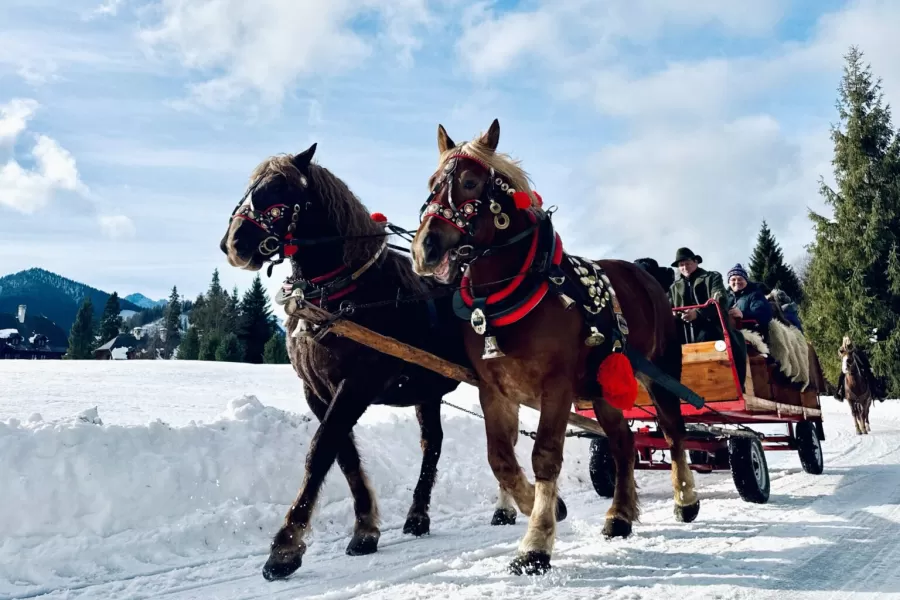 TANAP otvára exkluzívnu zážitkovú trasu Zvernica