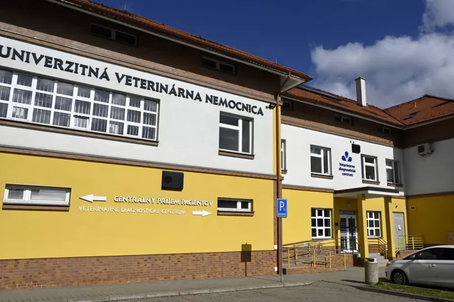 Potvrdenie vtáčej chrípky - opatrenia v Košiciach