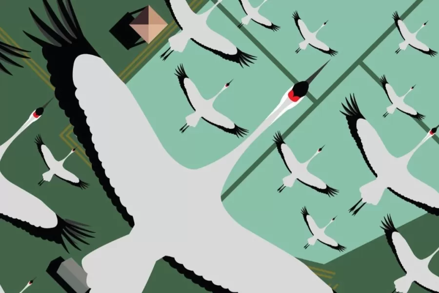 Pozývame vás na festival: Vítanie žeriavov v Sennom