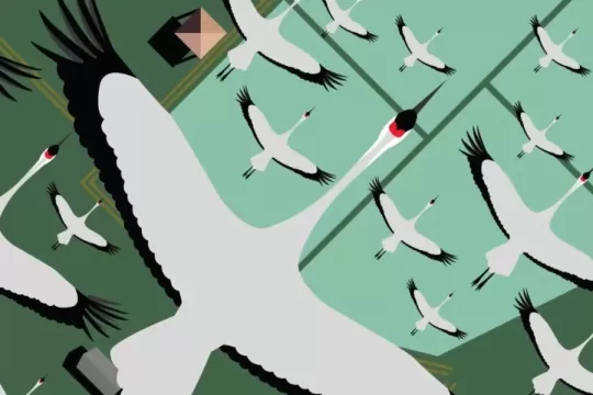 Pozývame vás na festival: Vítanie žeriavov v Sennom